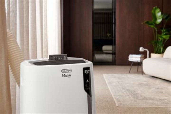 De’Longhi Pinguino Portable Air Conditioner review